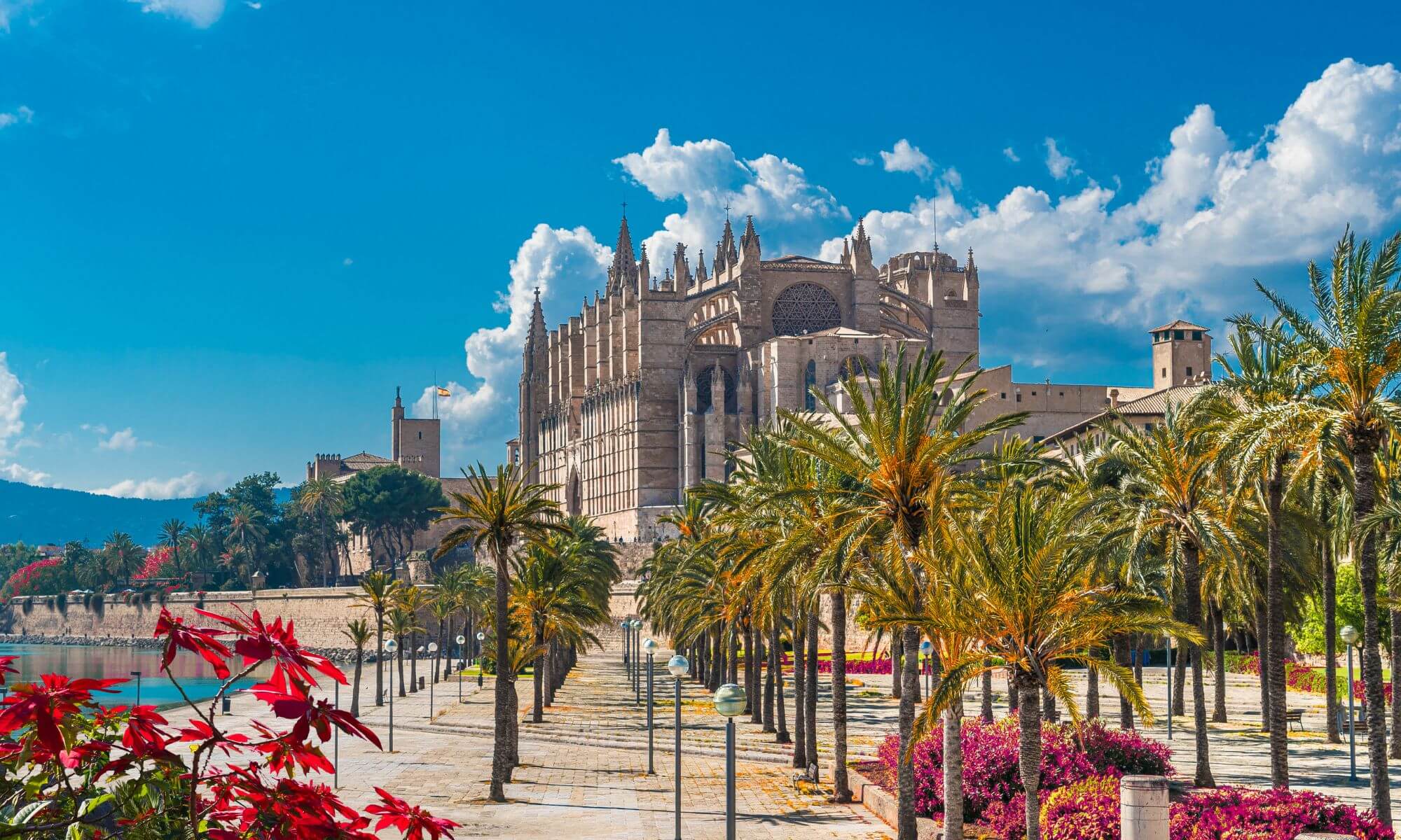 arbeiten auf mallorca