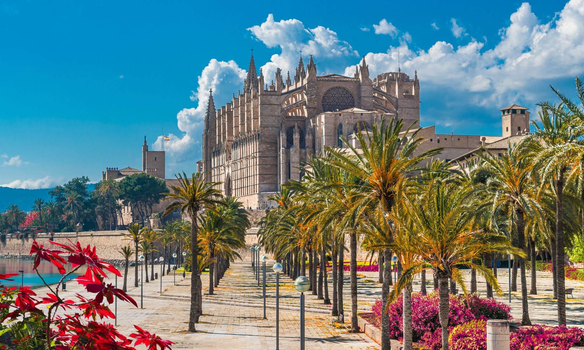 jobs palma de mallorca