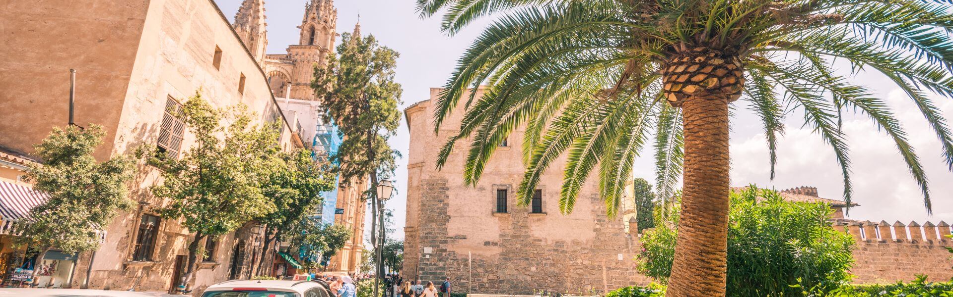 leben und arbeiten auf mallorca