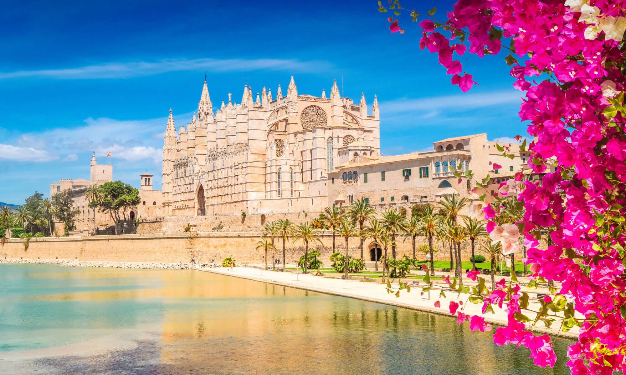 palma de mallorca