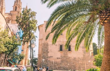 leben und arbeiten auf mallorca